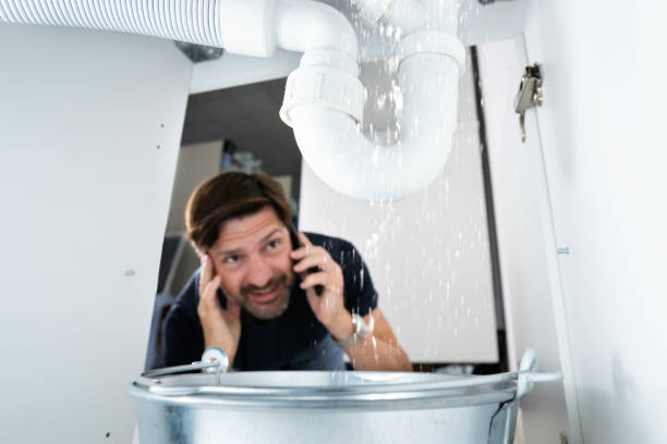 Best Plumbing Services Near Me  in Algona, IA